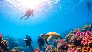 Engage with PADI Certified dive shops in Belize while exploring vibrant coral reefs and marine life.
